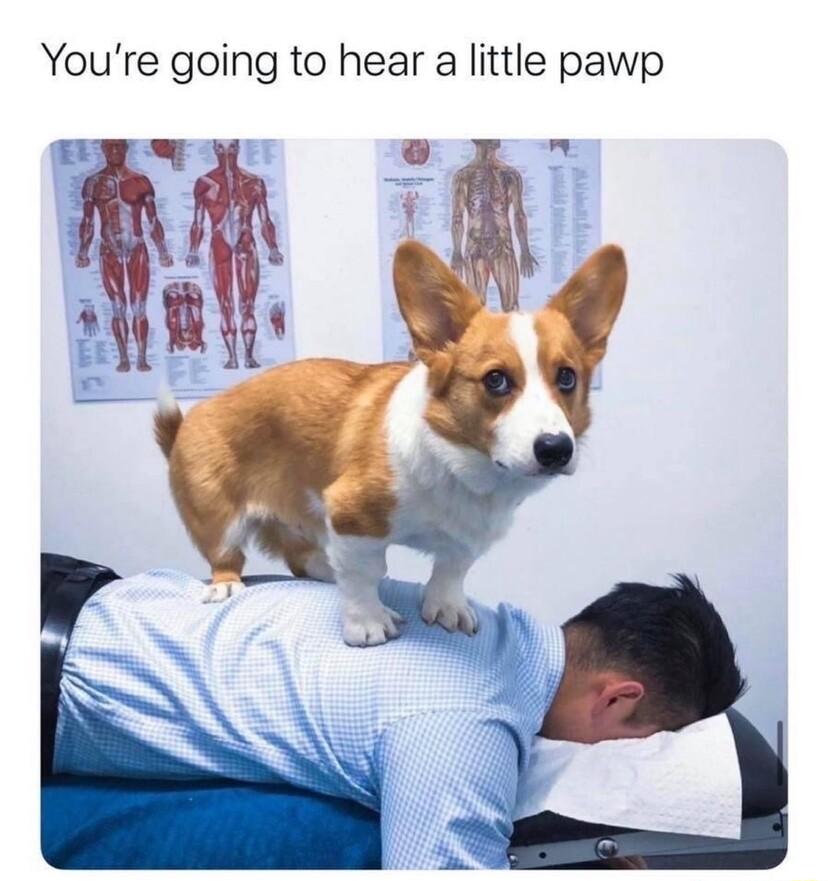 Youre going to hear a little pawp