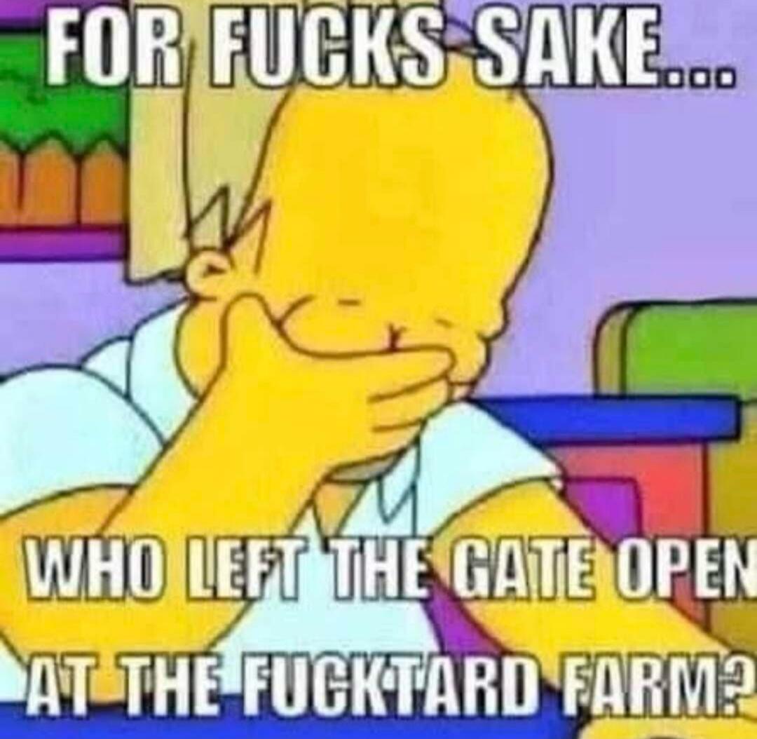 FOR FUCKS SAKE... WHO LEFT THE GATE OPEN AT THE FUCKTARD FARM?