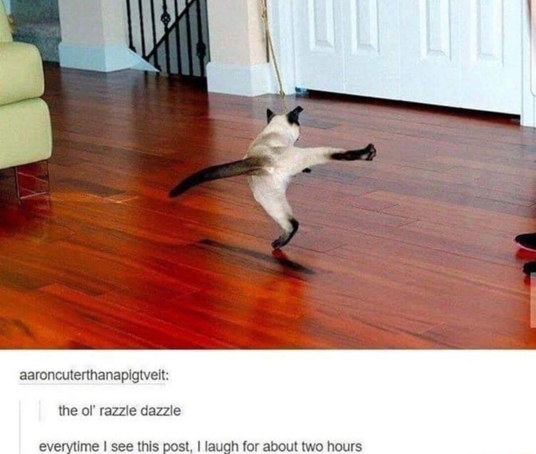 aaroncuterthanapigtvet the of razzle dazzie