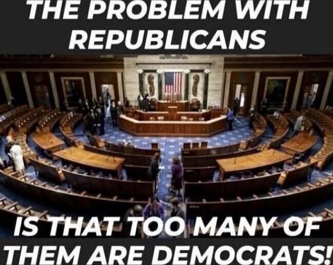 THE PROBLEM WITH REPUBLICANS IS THAT TOO MANY OF THEM ARE DEMOCRATS!