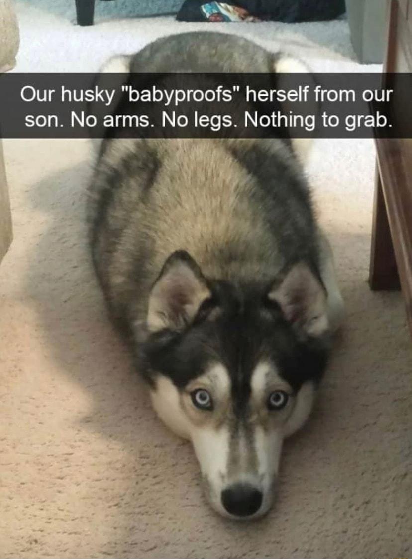 O1V1 VEISYAR oV T eTel SR ETETE R e Ty ol el N RTy SR N OR T BN TS T Te R o Xe 108 o