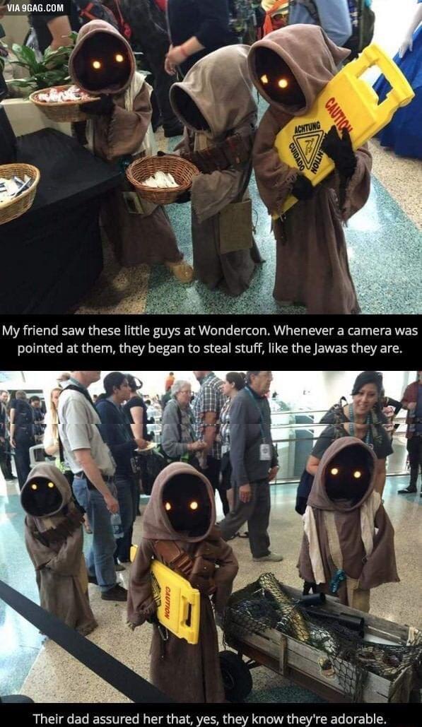 VIASGAGCOM My friend saw these lttle guys at Wondercon Whenever a camera was pointed at them they began to steal stuff like the Jawas they are Their dad assured her that yes they know theyre adorable