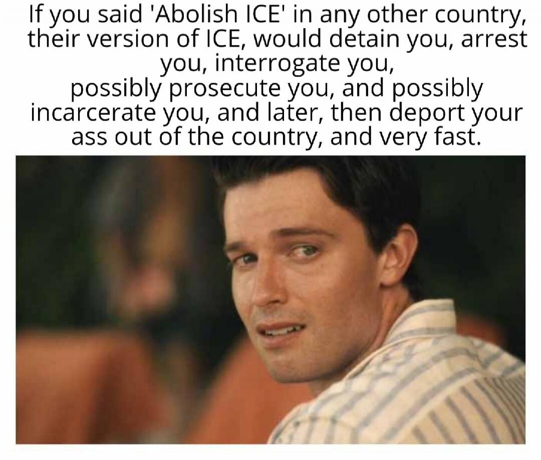 If you said 'Abolish ICE' in any other country, their version of ICE, would detain you, arrest you, possibly interrogate you, possibly prosecute you, and possibly incarcerate you, and later, then deport your ass out of the country, and very fast.