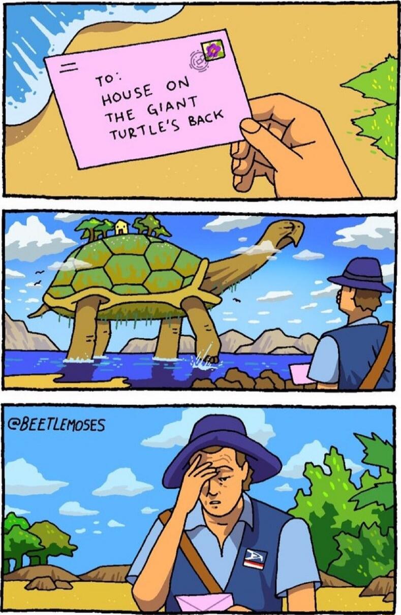 To: House on the giant turtle's back