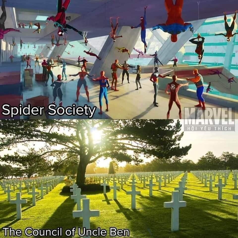 Spider Soci o o il Coleile Untels EEm