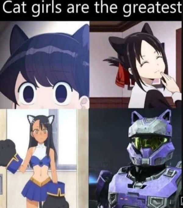 Cat girls are the greatest 4 h gr_ A IK in il r VEsmllesl