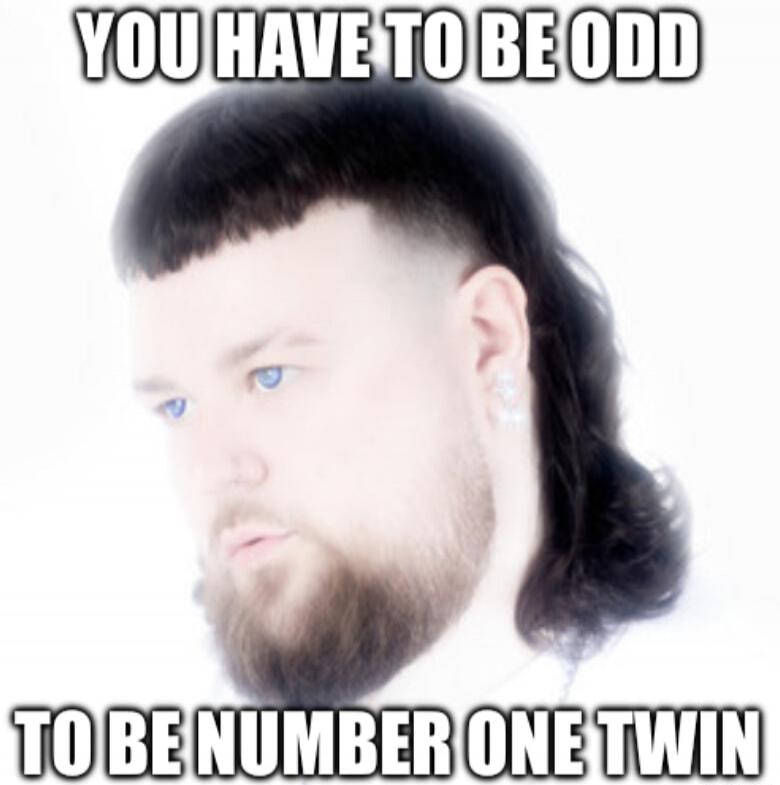 YOU HAVE TO BE ODD TO BE NUMBER ONE TWIN
