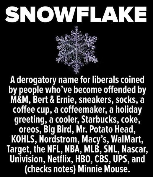 SNOWFLAKE LY COE G E T G T E T by people whove become offended by MM Bert Ernie sneakers socks a LG REREE ETC AR TR EE D RER T TR ETG T R oreos Big Bird Mr Potato Head LOL TR TR TG ETa O TR Target the NFL NBA MLB SNL Nascar Univision Netflix HBO CBS UPS and checks notes Minnie Mouse