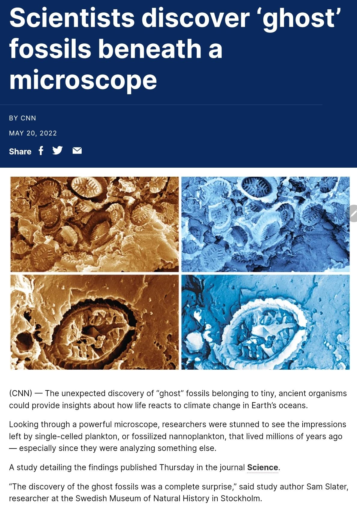 ST LT 1 o Tl o TT gl g Lo XY of fossils beneath a microscope BY CNN MAY 20 2022 share f CNN The unexpected discovery of ghost fossils belonging to tiny ancient organisms could provide insights about how life reacts to climate change in Earths oceans Looking through a powerful microscope researchers were stunned to see the impressions left by single celled plankton or fossilized nannoplankton that 