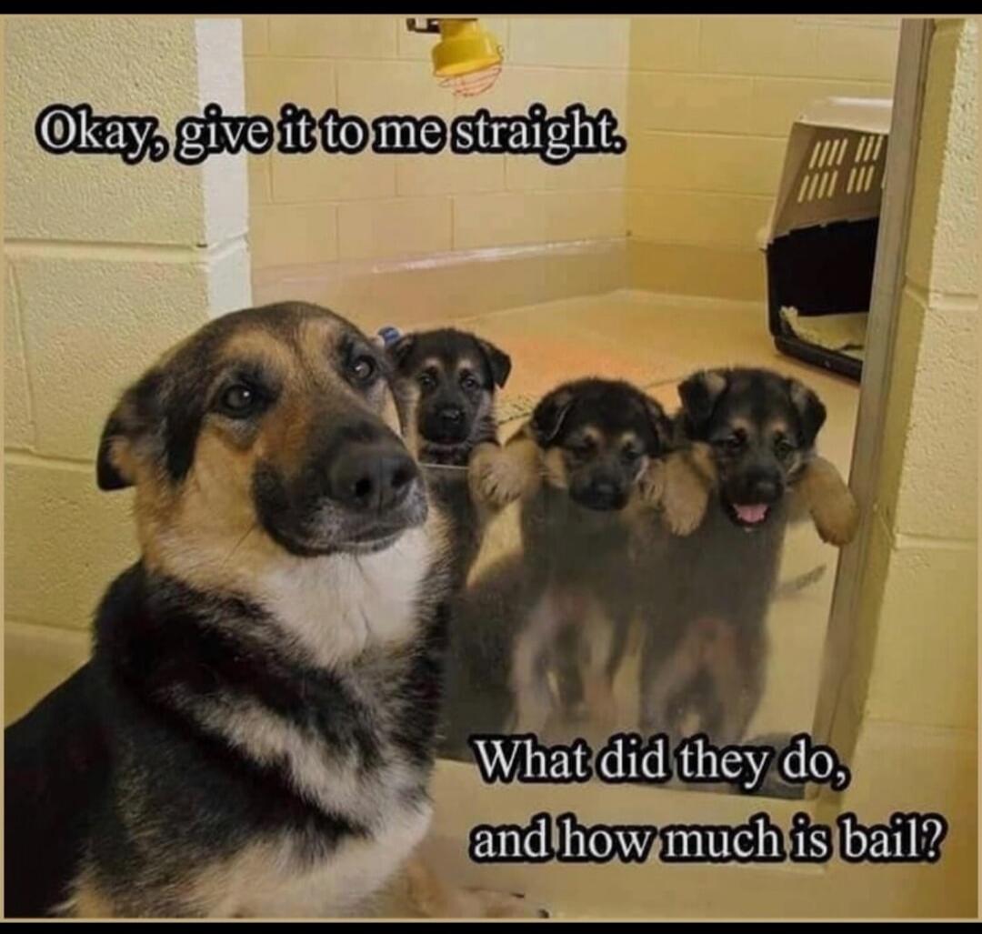Okay, give it to me straight. What did they do, and how much is bail?