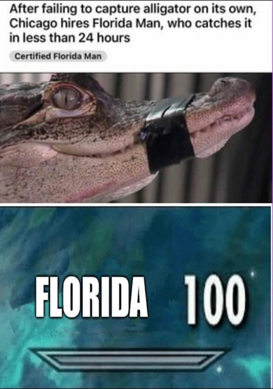 After failing to capture alligator on its own Chicago hires Florida Man who catches it in less than 24 hours Certified Florida Man