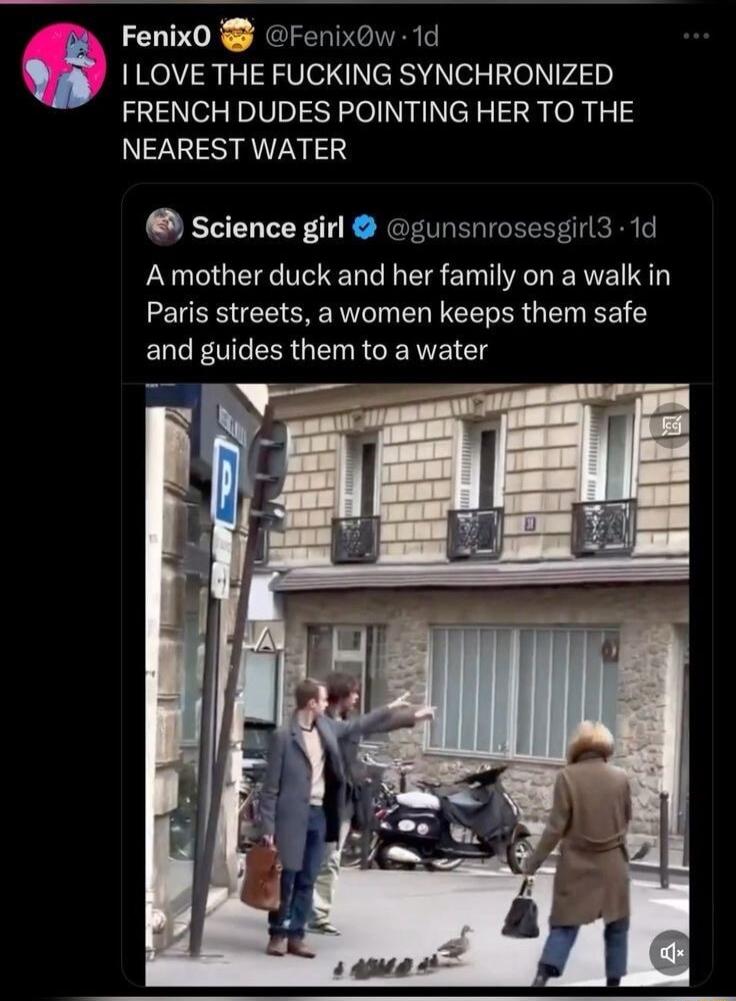 By Fenix0 Fenixow 1d Q LOVE THE FUCKING SYNCHRONIZED FRENCH DUDES POINTING HER TO THE NEAREST WATER science girl gunsnrosesgirl3 1d A mother duck and her family on a walk in Paris streets a women keeps them safe and guides them to a water