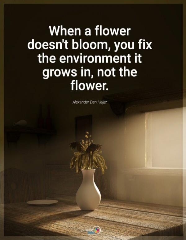 When a flower doesn't bloom, you fix the environment it grows in, not the flower. Alexander Den Heijer