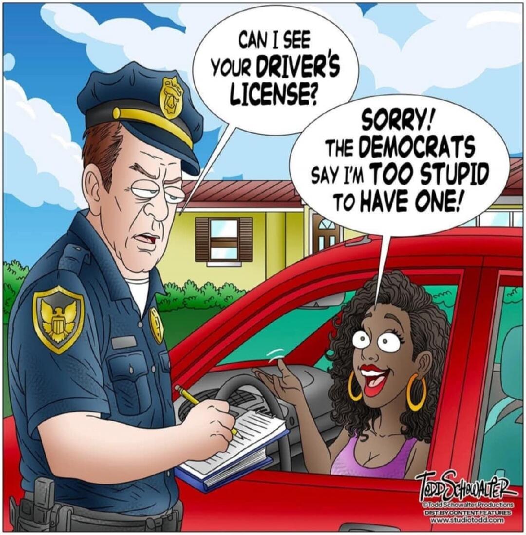 CAN I SEE YOUR DRIVER'S LICENSE? SORRY! THE DEMOCRATS SAY I'M TOO STUPID TO HAVE ONE!