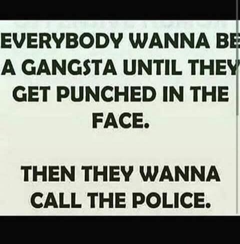 EVERYBODY WANNA BE A GANGSTA UNTIL THEY GET PUNCHED IN THE FACE. THEN THEY WANNA CALL THE POLICE.