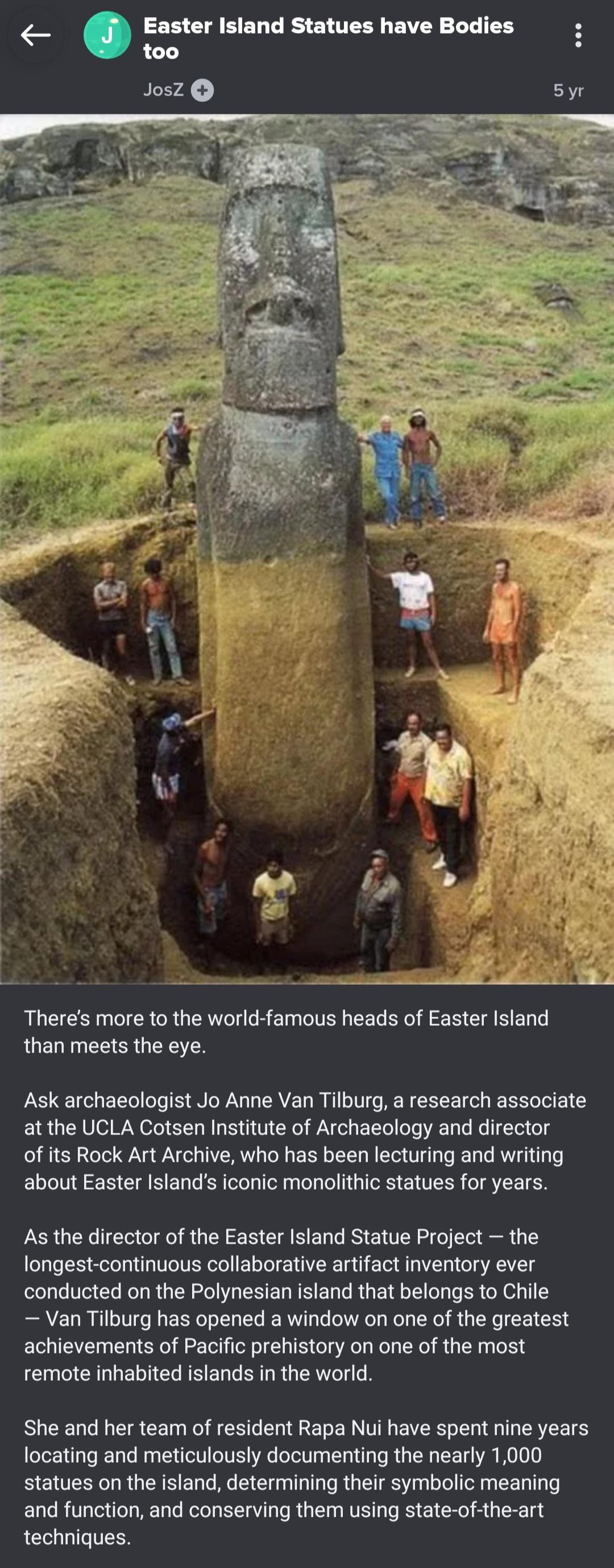 Theres more to the world famous heads of Easter Island than meets the eye Ask archaeologist Jo Anne Van Tilburg a research associate at the UCLA Cotsen Institute of Archaeology and director of its Rock Art Archive who has been lecturing and writing about Easter Islands iconic monolithic statues for years As the director of the Easter Island Statue Project the longest continuous collaborative artif