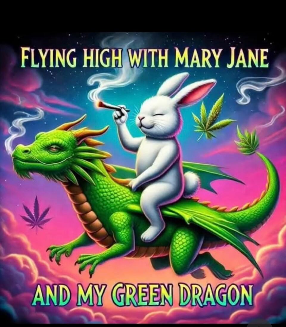 FLYING HIGH WITH MARY JANE AND MY GREEN DRAGON