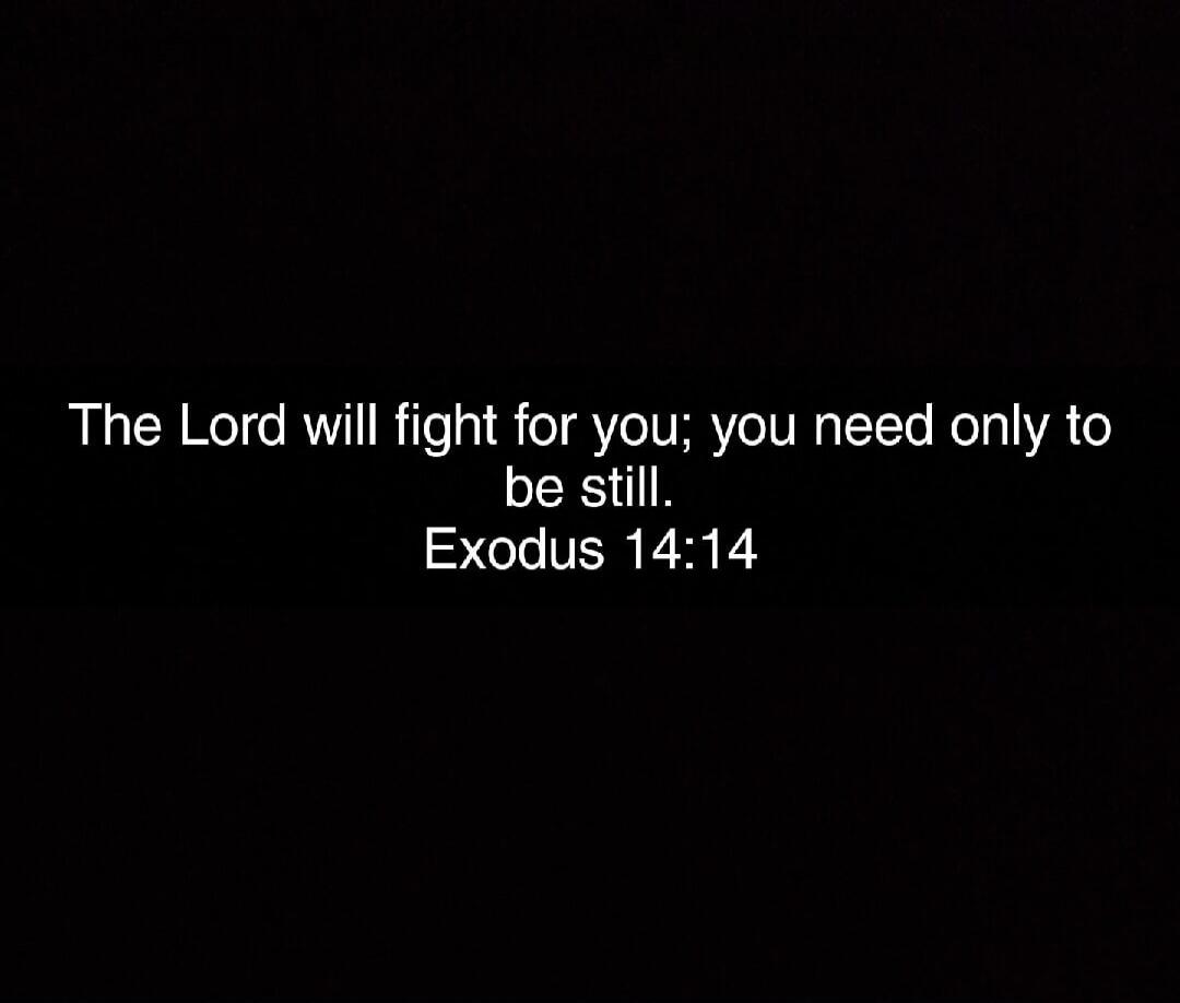 The Lord will fight for you; you need only to be still. Exodus 14:14