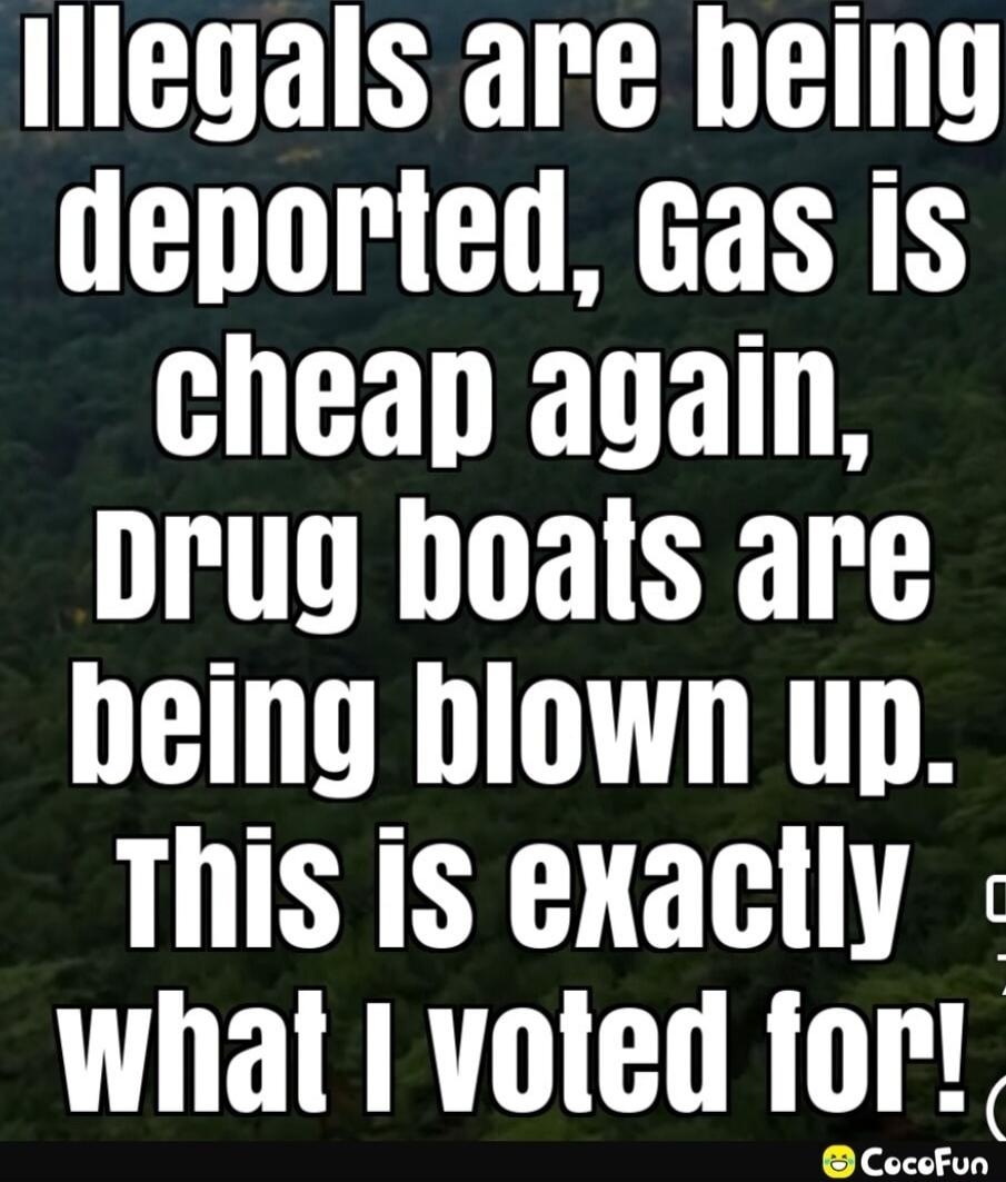 Illegals are being deported, Gas is cheap again, Drug boats are being blown up. this is exactly what I voted for!