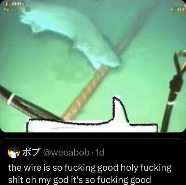 R7 weeabob 1d the wire is so fucking good holy fucking shit oh my god its so fucking good