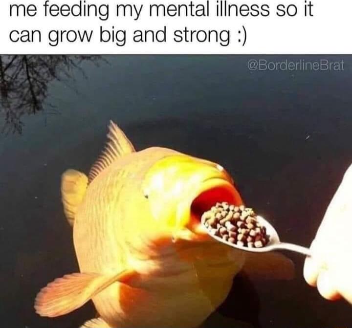 me feeding my mental iliness so it can grow big and strong