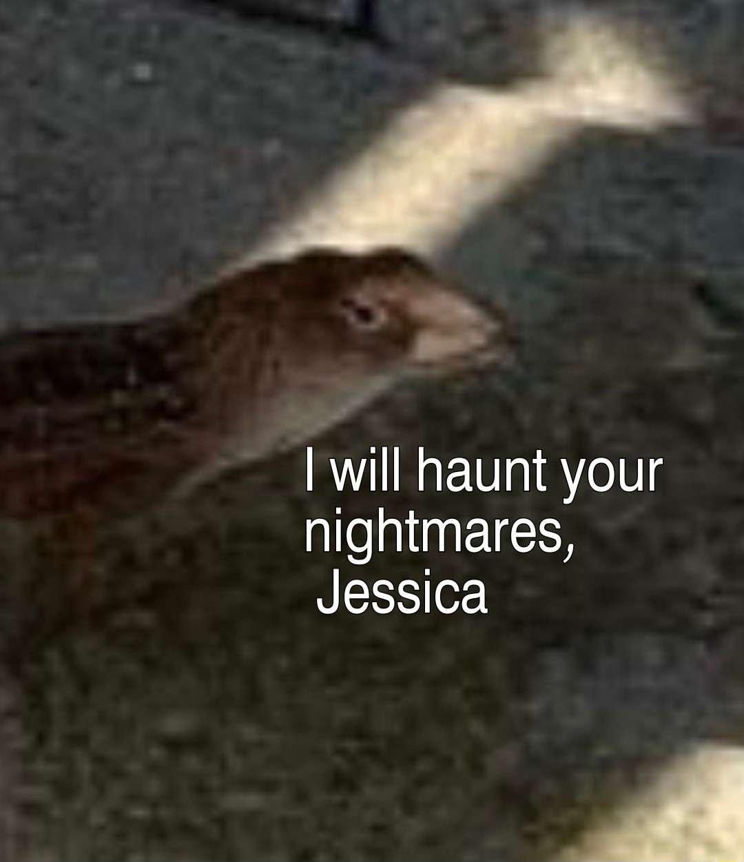 will haunt your alloaling 10N Jessica