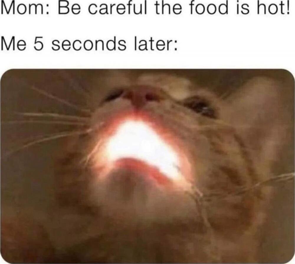 Mom: Be careful the food is hot! Me 5 seconds later: