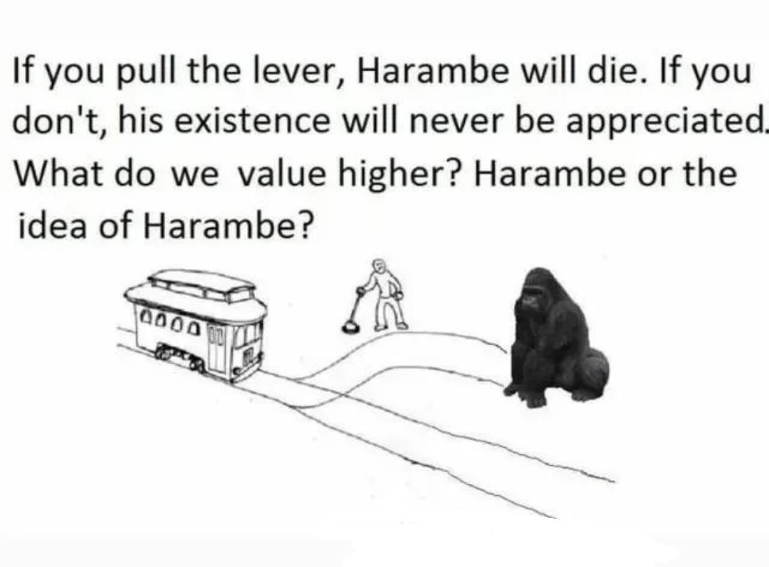 If you pull the lever Harambe will die If you dont his existence will never be appreciated What do we value higher Harambe or the idea of Harambe A TN