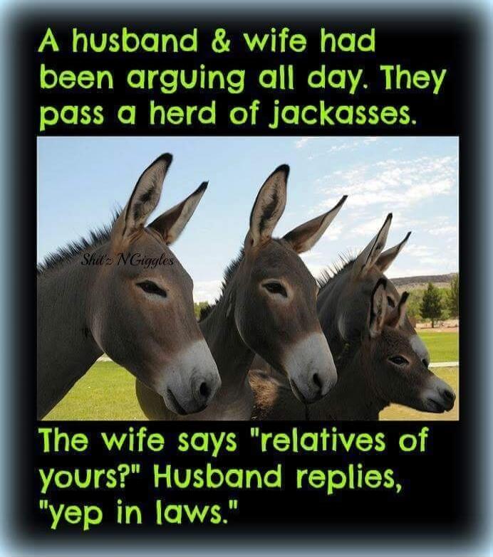 A husband & wife had been arguing all day. They pass a herd of jackasses. The wife says 
