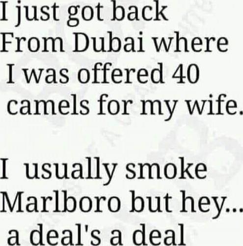 I just got back from Dubai where I was offered 40 camels for my wife. I usually smoke Marlboro but hey... a deal's a deal