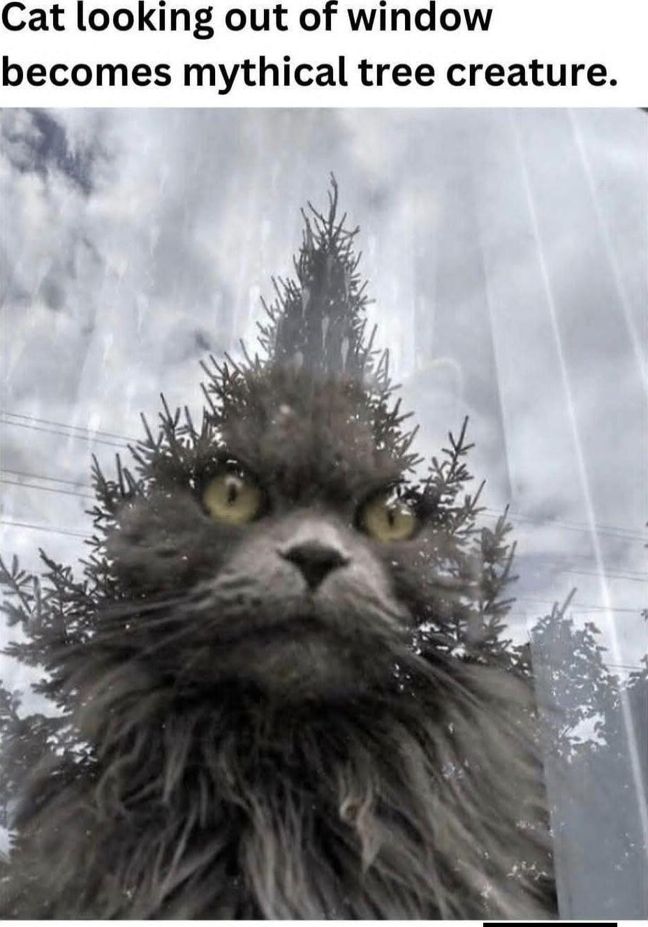 Cat looking out of window becomes mythical tree creature.