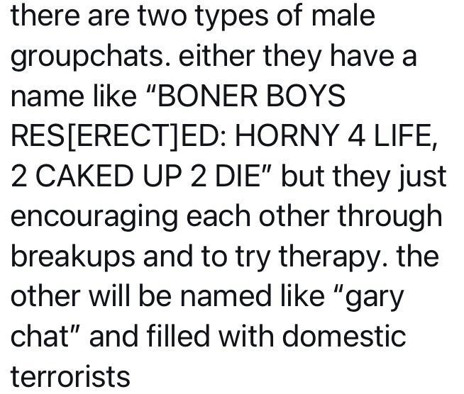 there are two types of male groupchats either they have a name like BONER BOYS RESERECTED HORNY 4 LIFE 2 CAKED UP 2 DIE but they just encouraging each other through breakups and to try therapy the other will be named like gary chat and filled with domestic terrorists