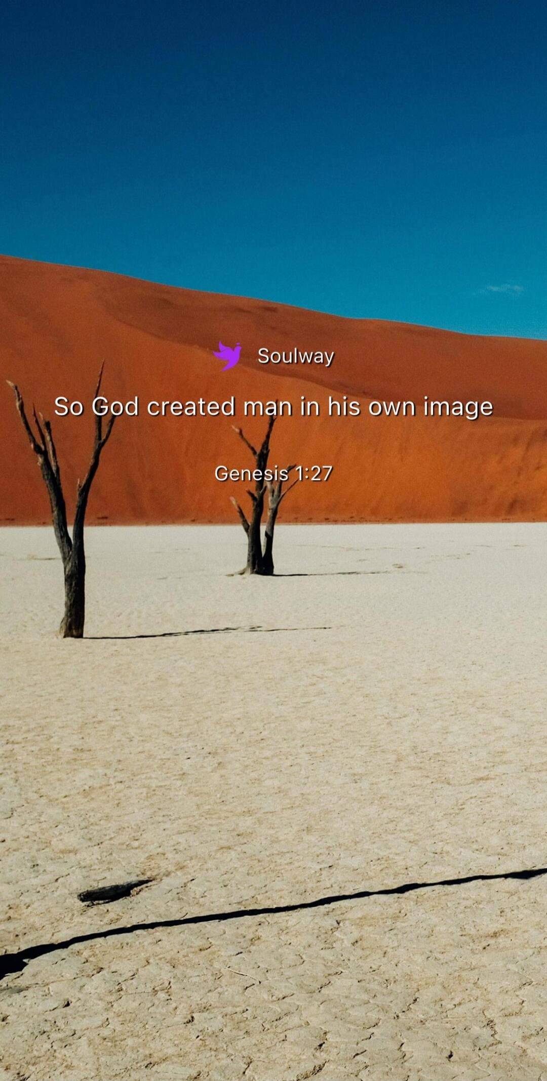 Soulway
So God created man in his own image
Genesis 1:27