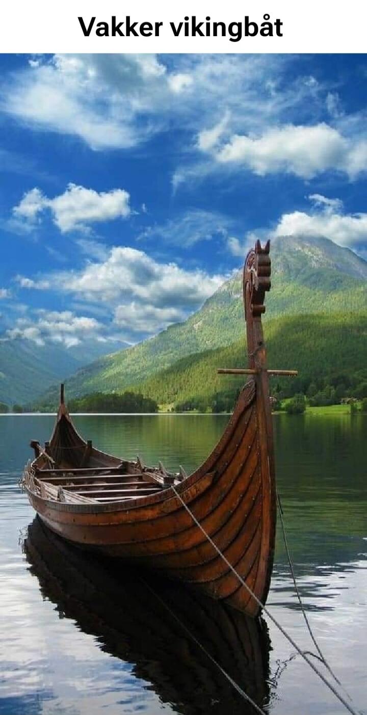 Vakker vikingbåt
