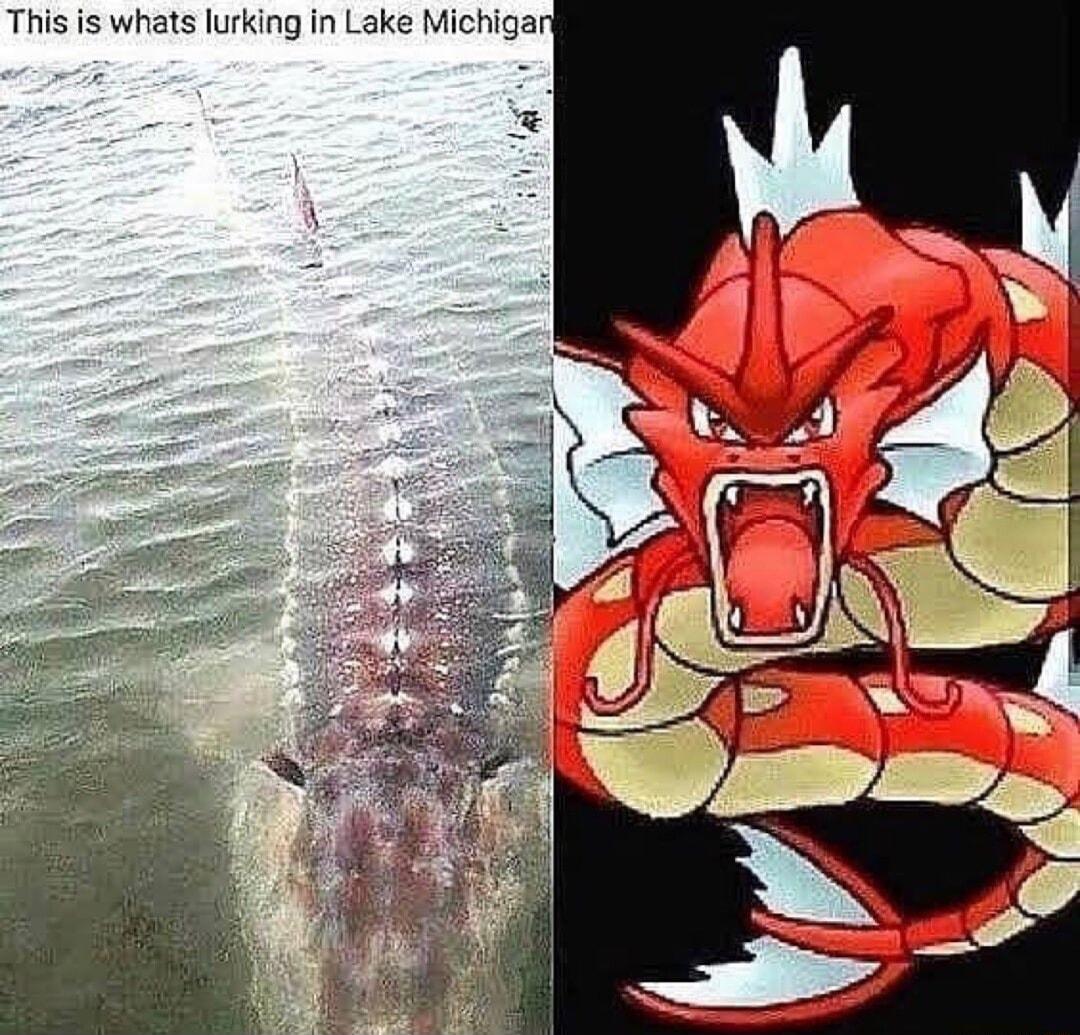 This is whats lurking in Lake Michigar