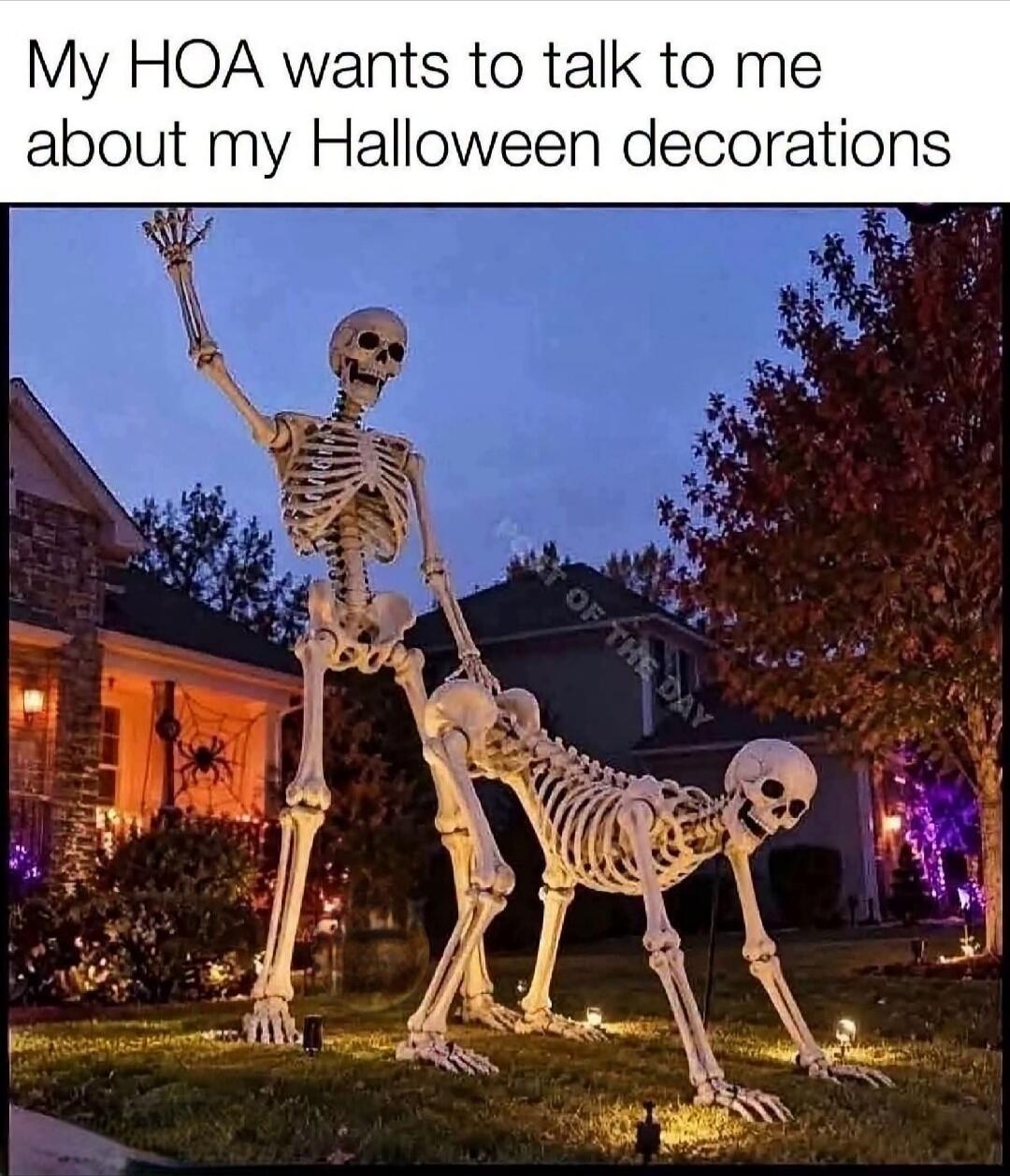 My HOA wants to talk to me about my Halloween decorations