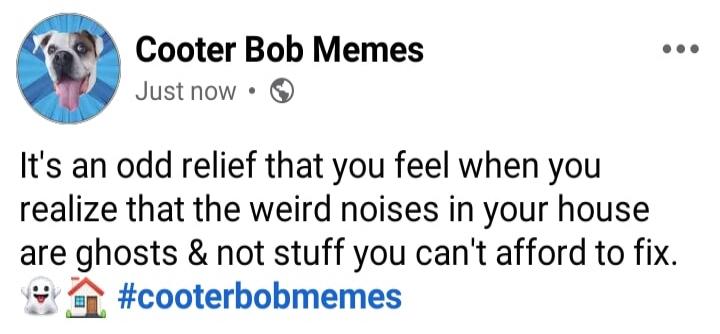 It's an odd relief that you feel when you realize that the weird noises in your house are ghosts & not stuff you can't afford to fix. 👻🏠 #cooterbobmemes