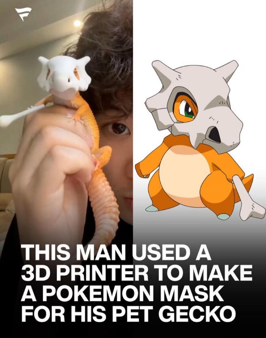 THIS MAN USED A 3D PRINTER TO MAKE A POKEMON MASK FOR HIS PET GECKO
