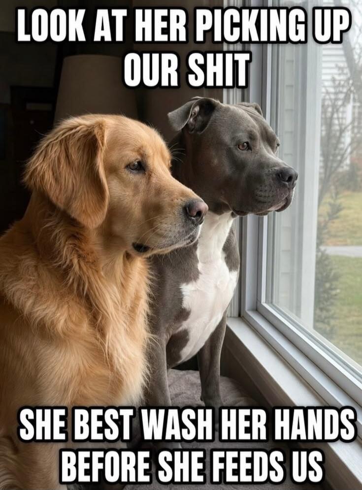 LOOK AT HER PICKING UP OUR SHIT SHE BEST WASH HER HANDS BEFORE SHE FEEDS US