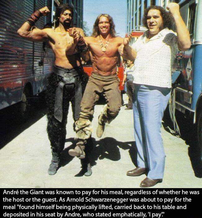 Andr the Giant was known to pay for his meal regardless of whether he was the host or the guest As Amold Schwarzenegger was about to pay for the meal found himself being physically lifted carried back to his table and e S P P T