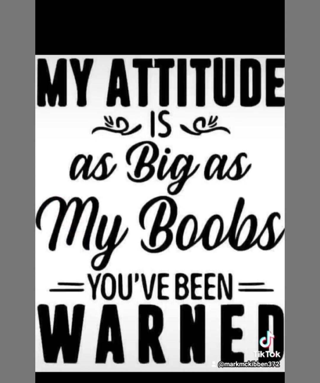 MY ATTITUDE IS as Big as My Boobs =YOU'VE BEEN= WARNED