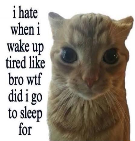 i hate when i wake up tired like bro wtf did i go to sleep for