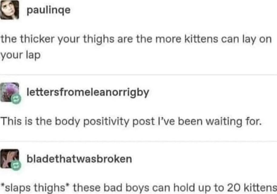 paulinge the thicker your thighs are the more kittens can lay on your lap lettersfromeleanorrigby This is the body positivity post Ive been waiting for bladethatwasbroken slaps thighs these bad boys can hold up to 20 kittens