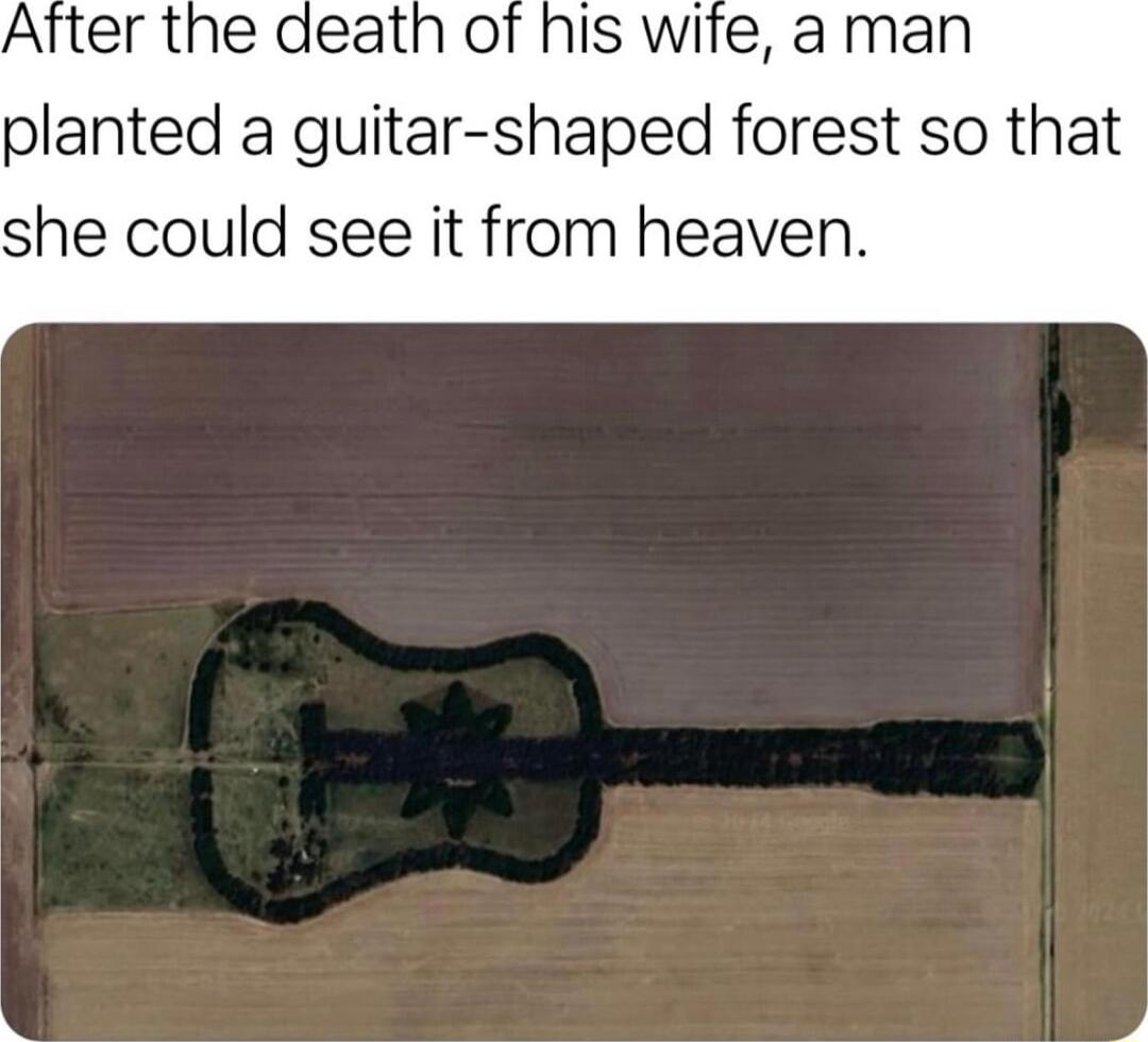 planted a guitar shaped forest so that she could see it from heaven