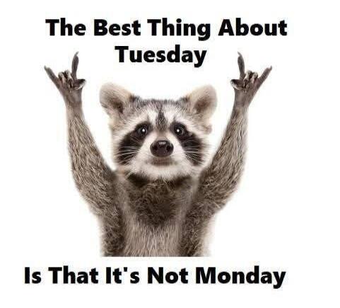 The Best Thing About Tuesday Is That It's Not Monday