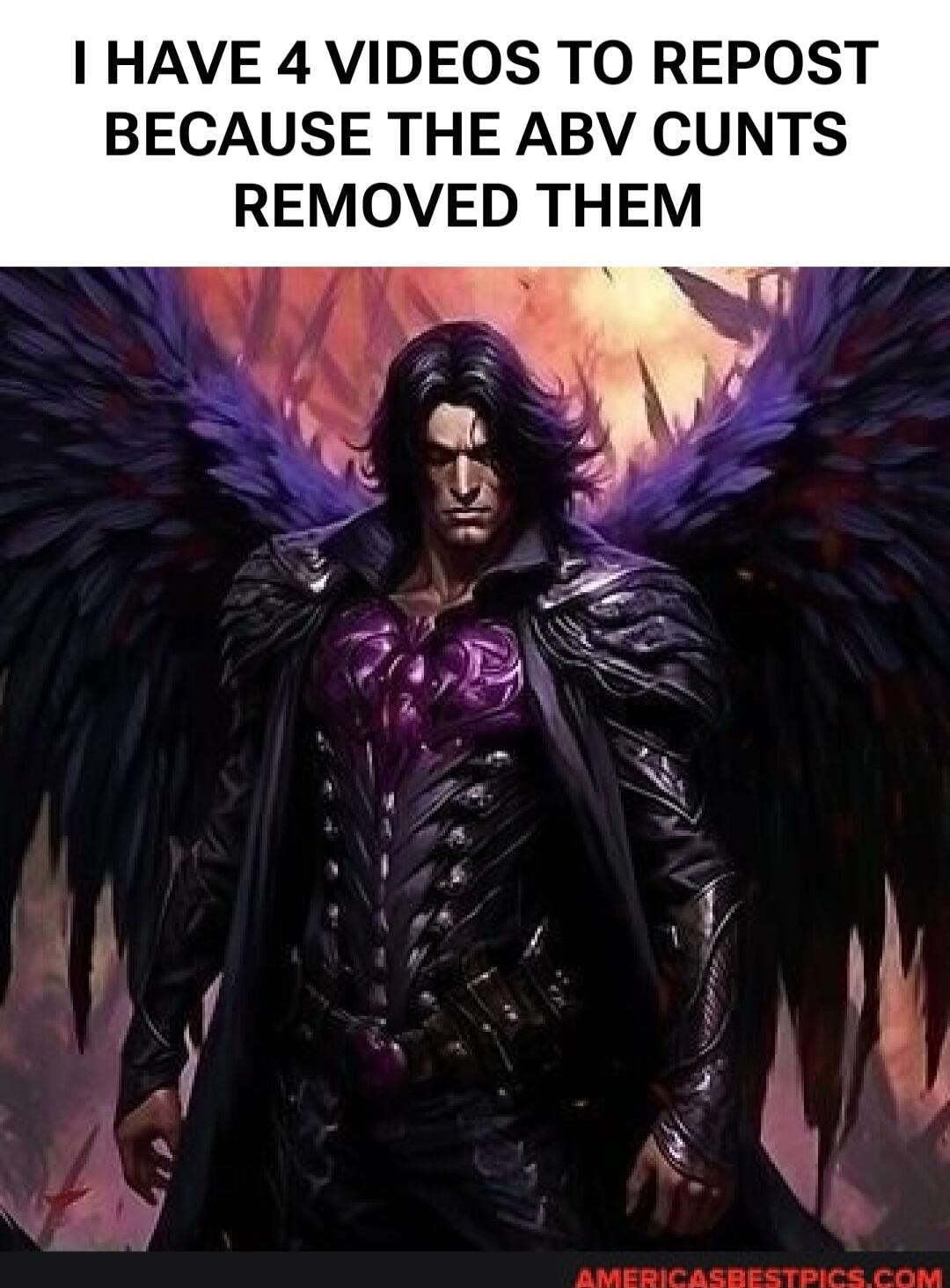 I HAVE 4 VIDEOS TO REPOST BECAUSE THE ABV CUNTS REMOVED THEM