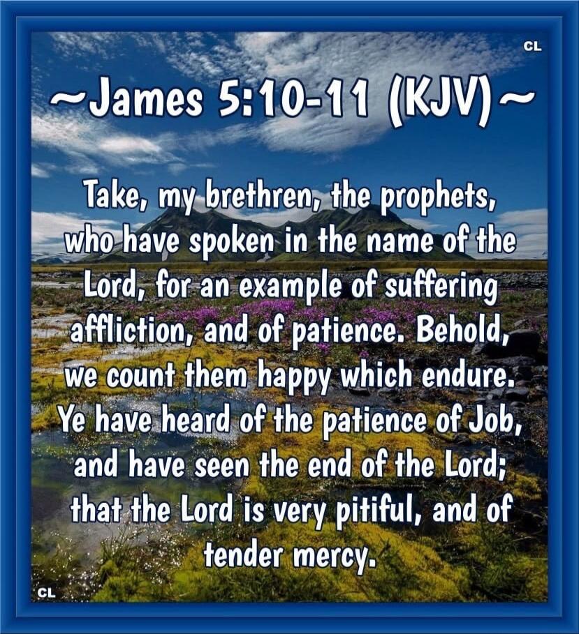 ~James 5:10-11 (KJV)~
Take, my brethren, the prophets, who have spoken in the name of the Lord, for an example of suffering affliction, and of patience. Behold, we count them happy which endure. Ye have heard of the patience of Job, and have seen the end of the Lord; that the Lord is very pitiful, and of tender mercy.