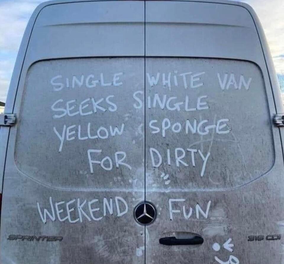 SINGLE WHITE VAN SEEKS SINGLE YELLOW SPONGE FOR DIRTY WEEKEND FUN