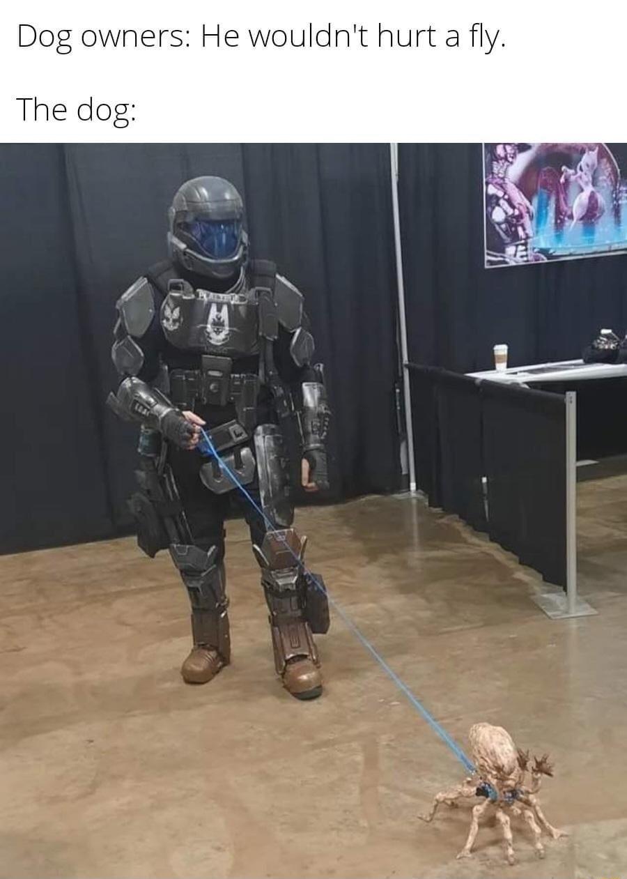 Dog owners He wouldnt hurt a fly The dog