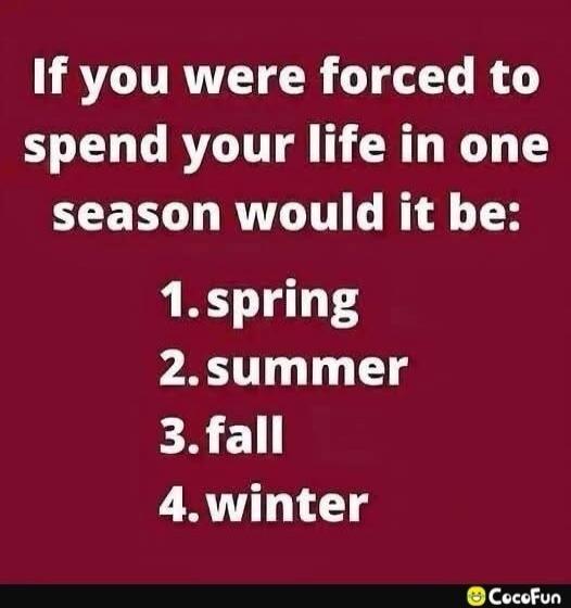 If you were forced to spend your life in one season would it be: 1. spring 2. summer 3. fall 4. winter
